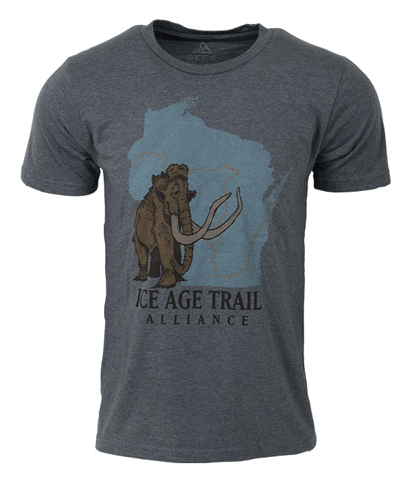 Mens Ice Age Trail outdoor artist series organic "core logo" t-shirt grey