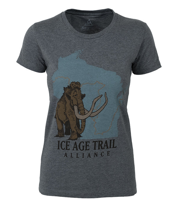 Womens Ice Age Trail outdoor artist series organic "core logo" t-shirt grey